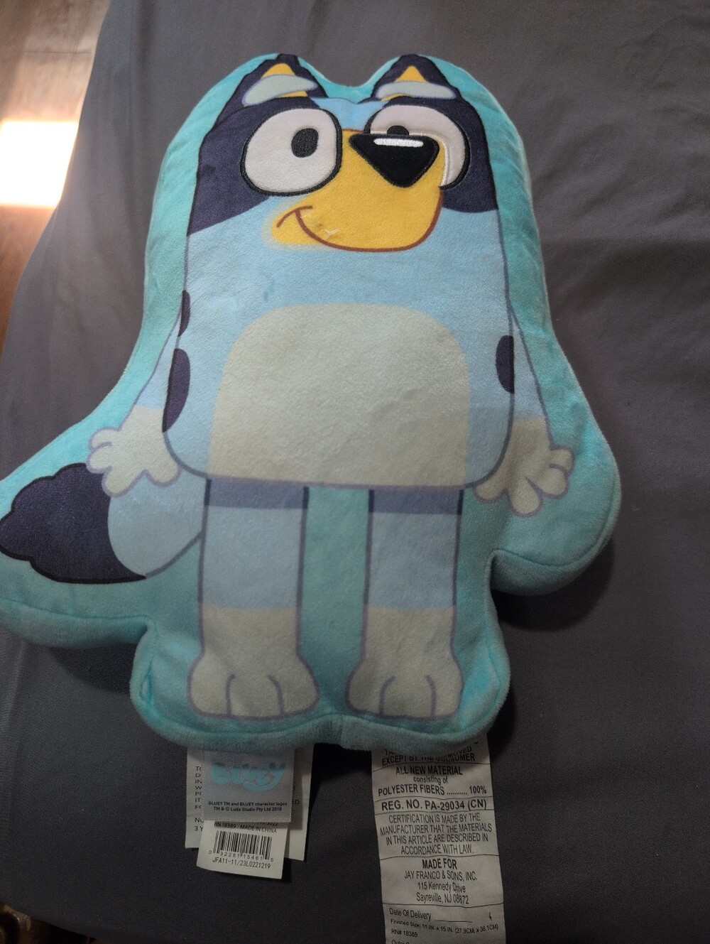 Bluey Pillow